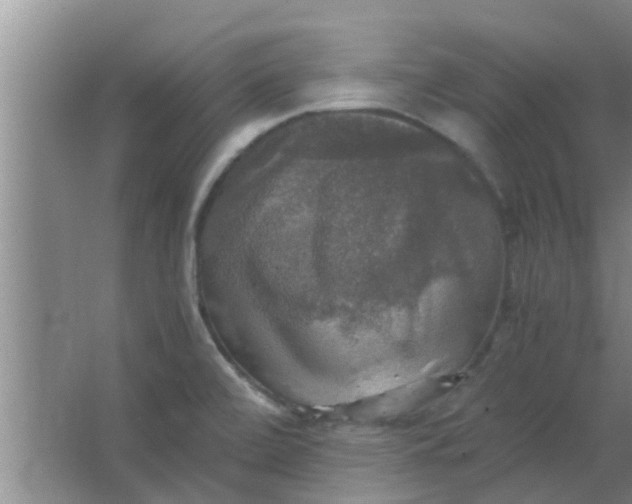 X0000063461472200602031821