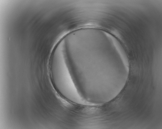 X0000063461474200602031821