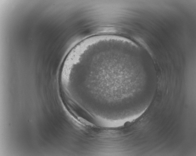 X0000063461475200602031821