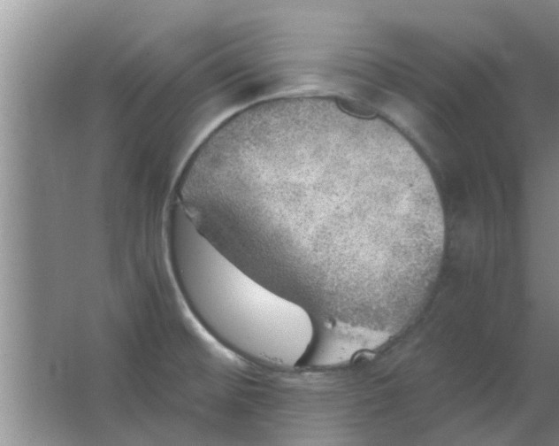 X0000063461476200602031821