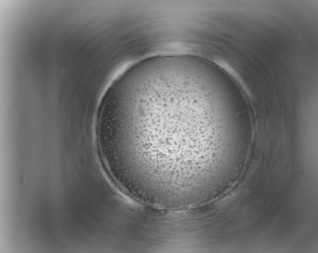 X0000063461477200602031821