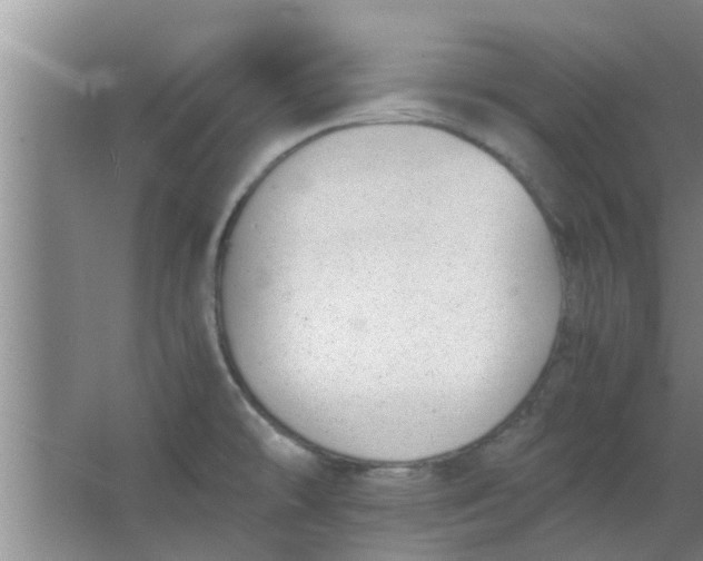 X0000063461478200602031821