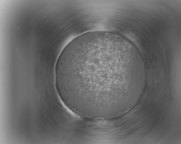 X0000063461479200602031821