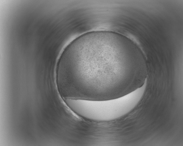 X0000063461480200602031821