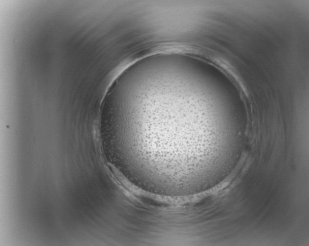 X0000063461481200602031821