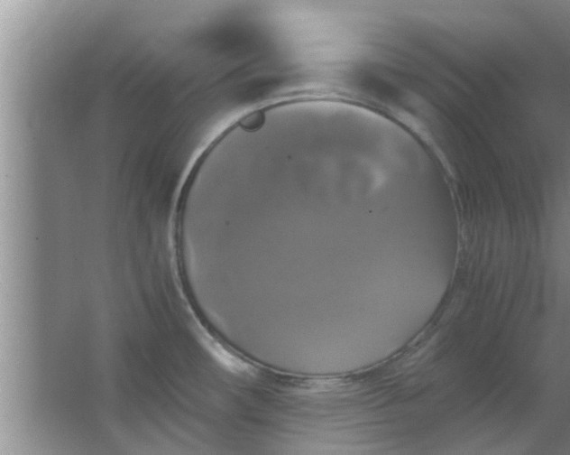 X0000063461482200602031821