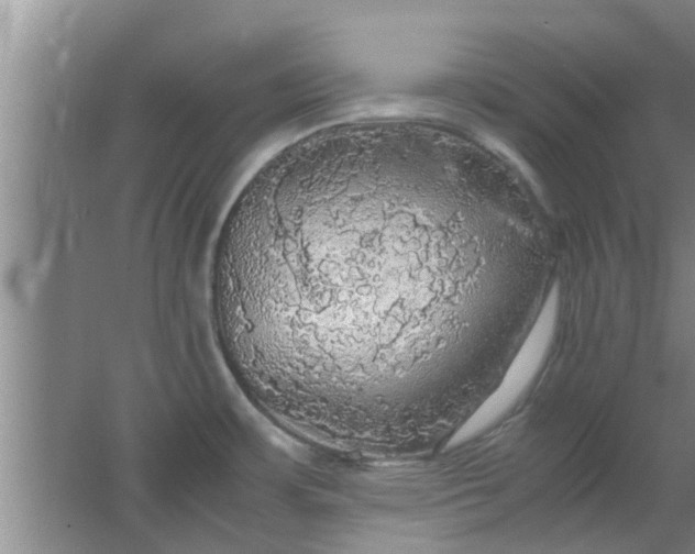 X0000063461483200602031821