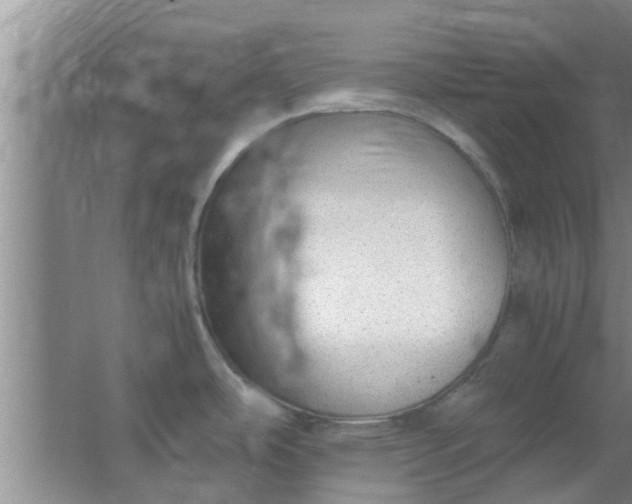 X0000063461486200602031821