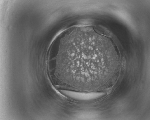 X0000063461487200602031821