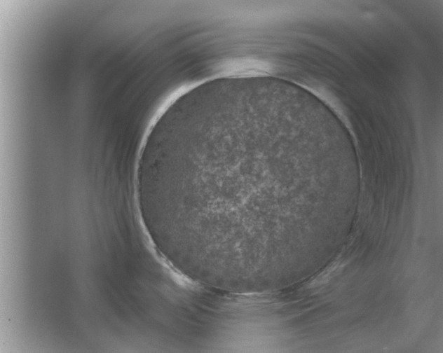 X0000063461488200602031821