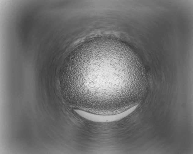 X0000063461489200602031820