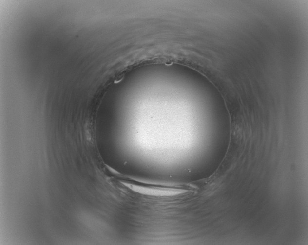 X0000063461490200602031820