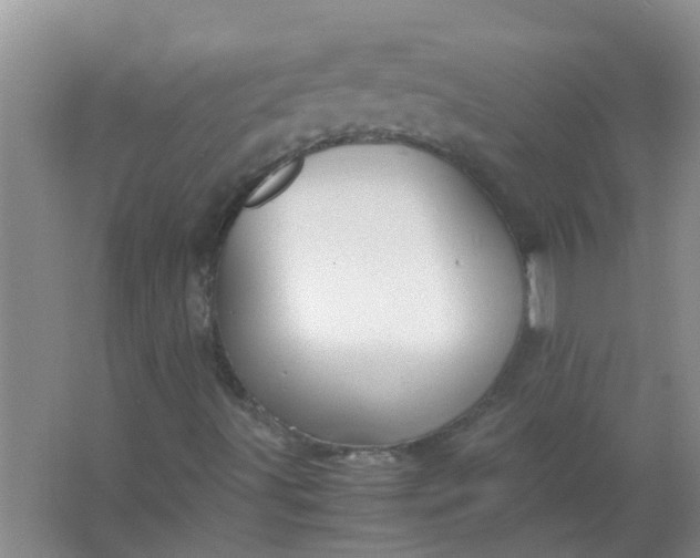 X0000063461491200602031820