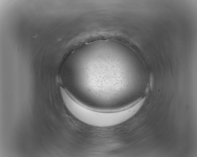 X0000063461492200602031820