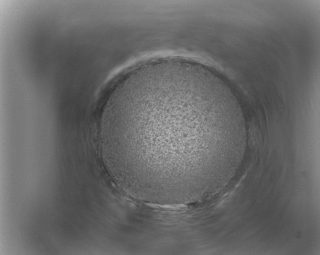 X0000063461494200602031820