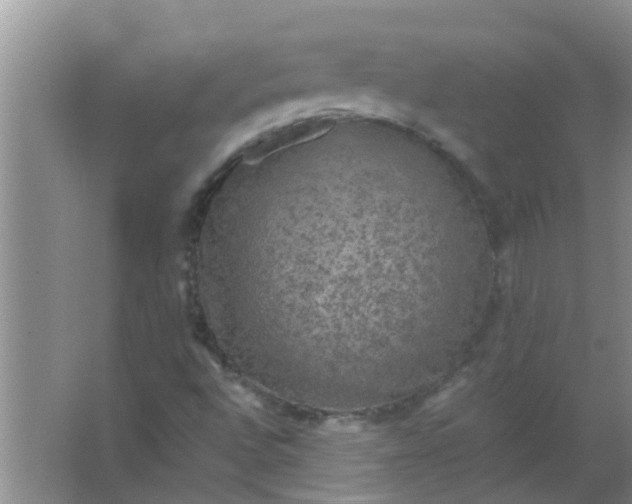 X0000063461496200602031820