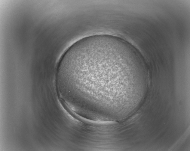 X0000063461500200602031820