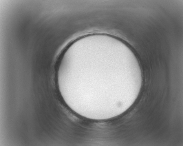 X0000063461502200602031820