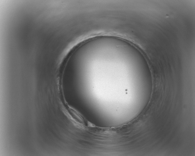 X0000063461503200602031820