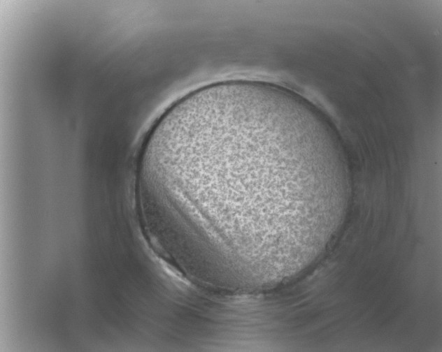 X0000063461504200602031820