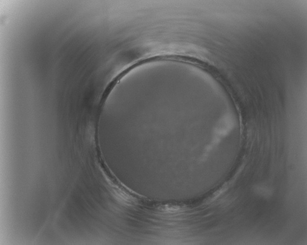 X0000063461505200602031820