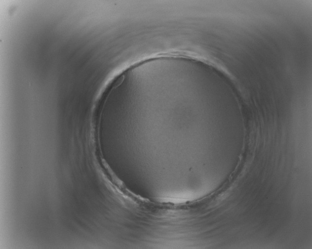 X0000063461506200602031820