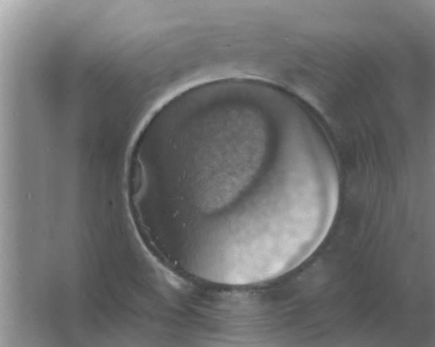 X0000063461508200602031820