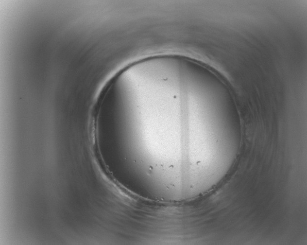 X0000063461510200602031820