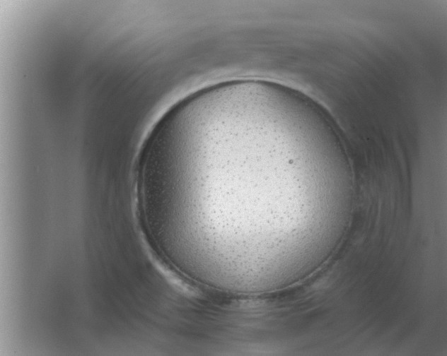 X0000063461511200602031820