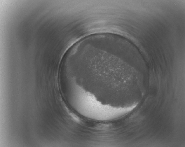 X0000063461513200602031820