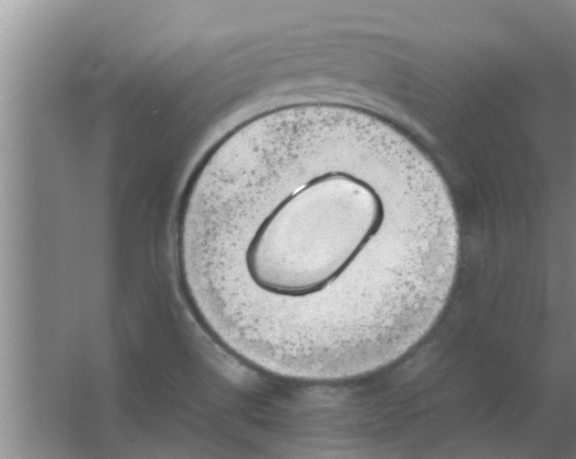 X0000063461514200602031820