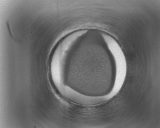 X0000063461515200602031820