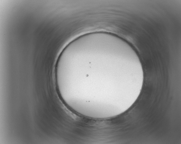 X0000063461516200602031820