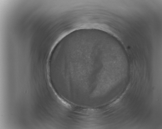 X0000063461517200602031820