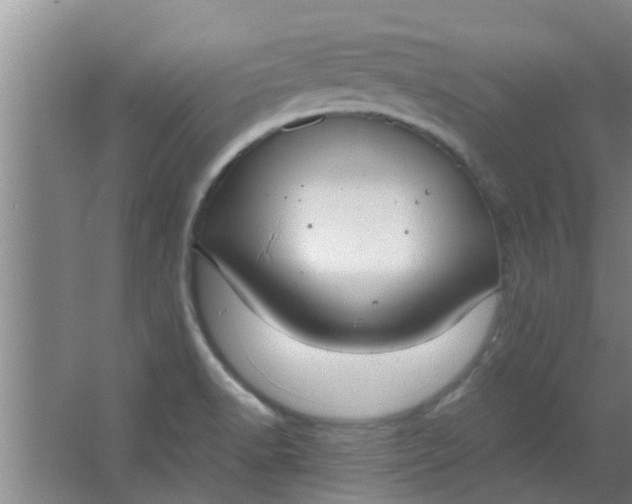 X0000063461518200602031820