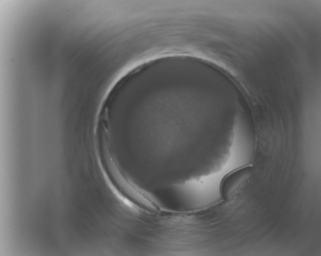 X0000063461519200602031820