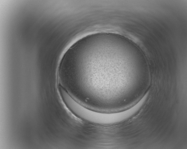 X0000063461520200602031820