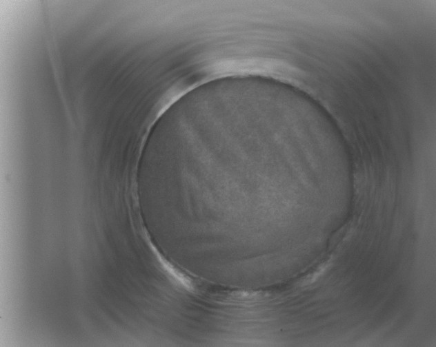 X0000063461521200602031820