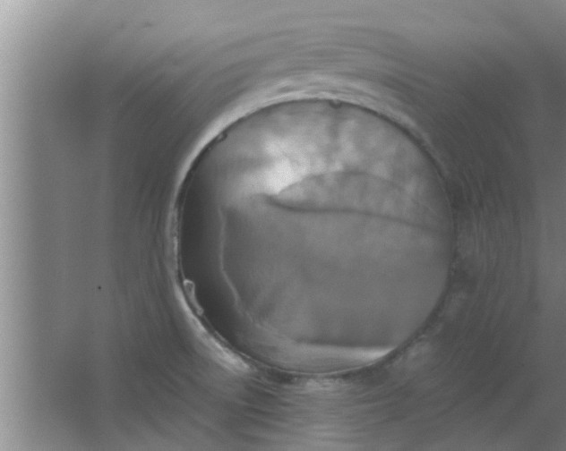 X0000063461522200602031820