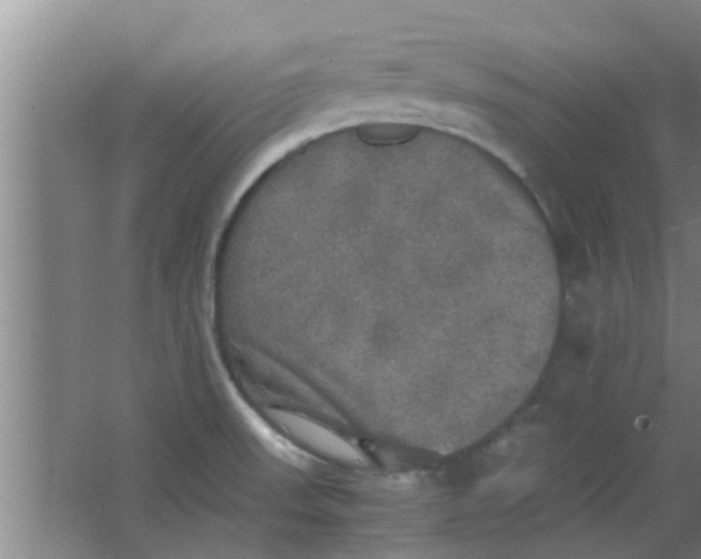 X0000063461523200602031820