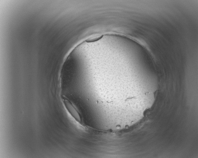 X0000063461524200602031820