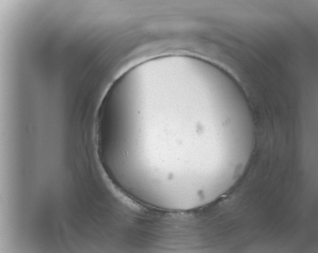 X0000063461526200602031820