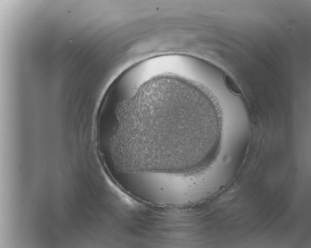 X0000063461527200602031820