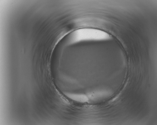 X0000063461529200602031821