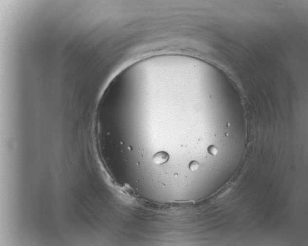 X0000063461530200602031821