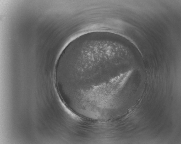 X0000063461531200602031821