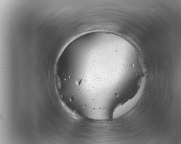 X0000063461532200602031821