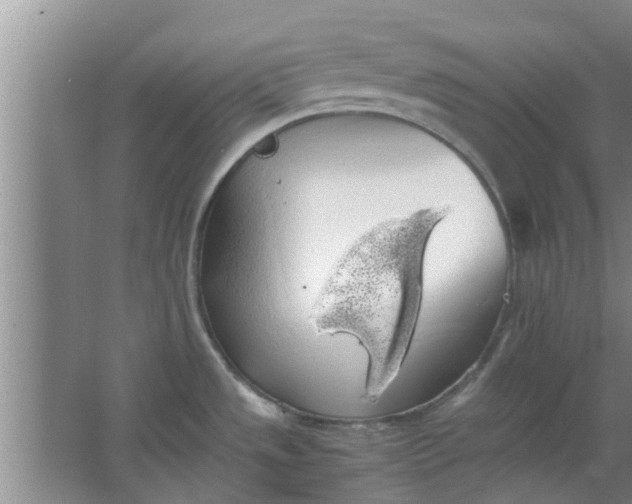 X0000063461533200602031821