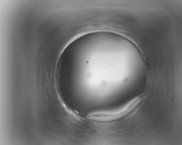 X0000063461534200602031821