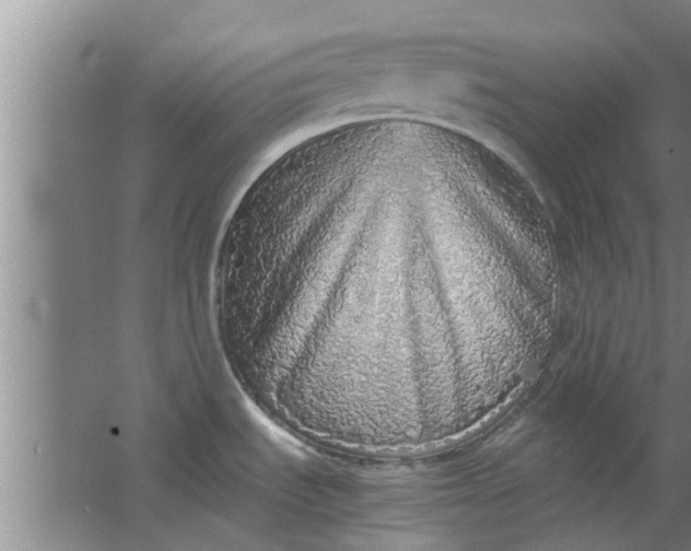 X0000063461535200602031821